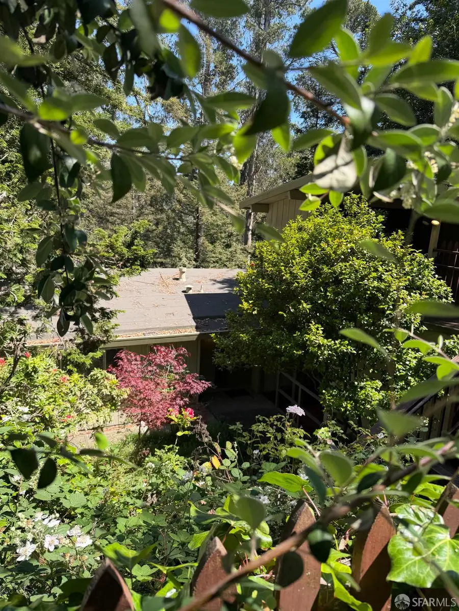 7101 Pinehaven Road, Oakland, CA 94611 - #2