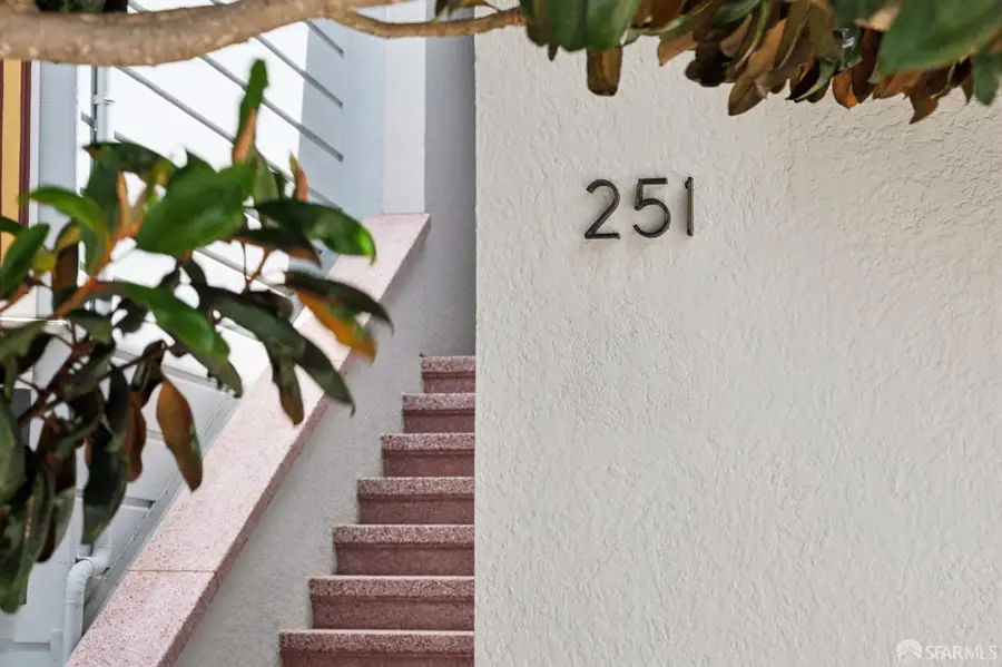 251 Bonview Street, San Francisco, CA 94110 - #2