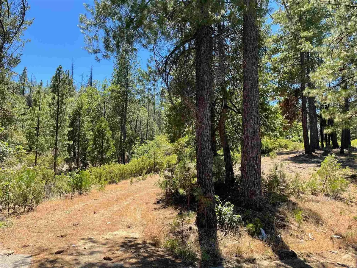Hwy 120, Groveland, CA 95321 - #1