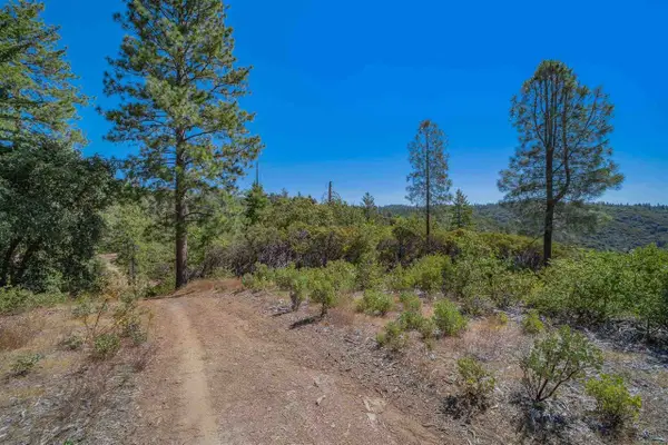 0 Ponderosa Way., Big Oak Flat, CA 95305