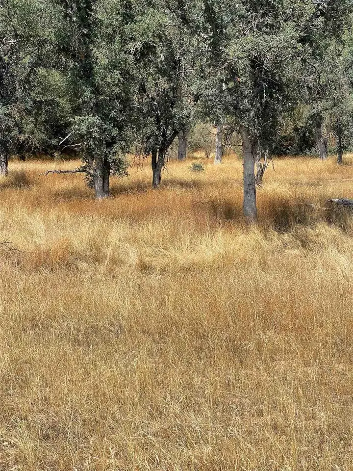 Bull Creek Rd 2s05, Coulterville, CA 95311 - #2