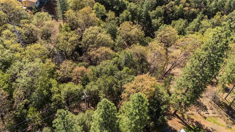 23385 Pack Trail, Sonora, CA 95370 - #2