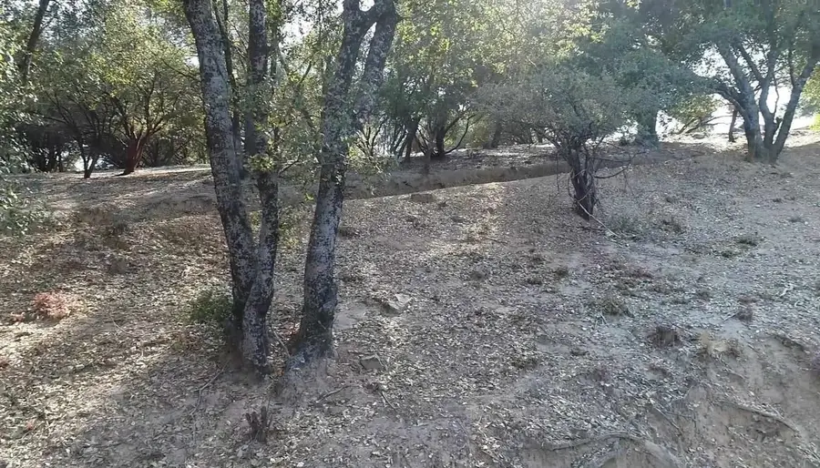 12/238 Hillcroft Dr., Groveland, CA 95321 - #3