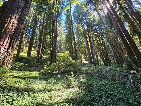 Lot26 Old La Honda Rd, Woodside, CA 94062