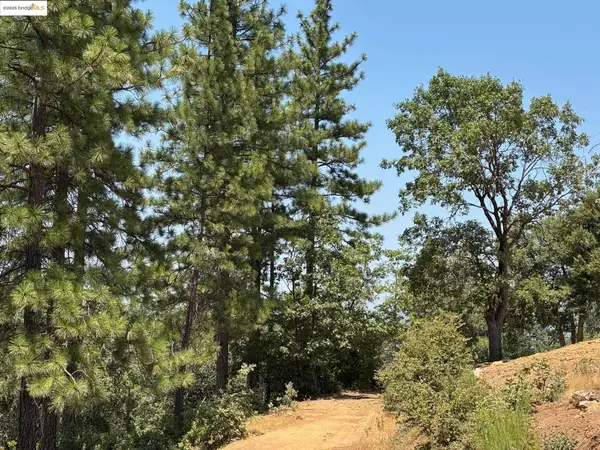 Address Withheld By Seller, Groveland, CA 95321