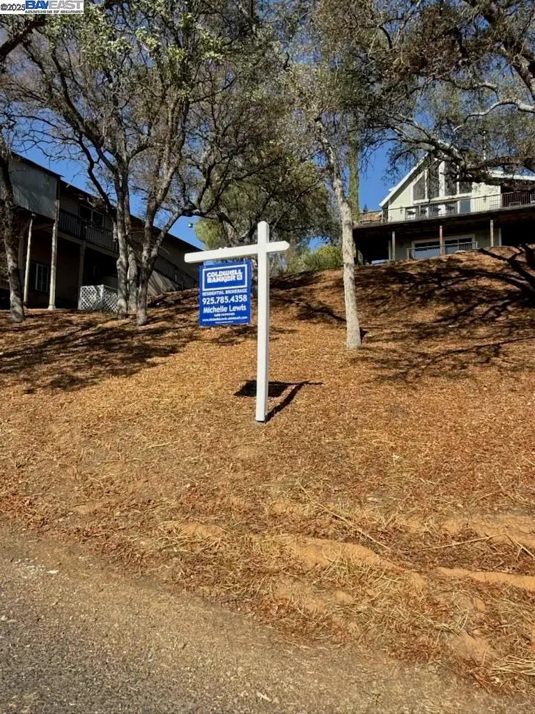 490 Bret Harte Dr, Copperopolis, CA 95228 - #2
