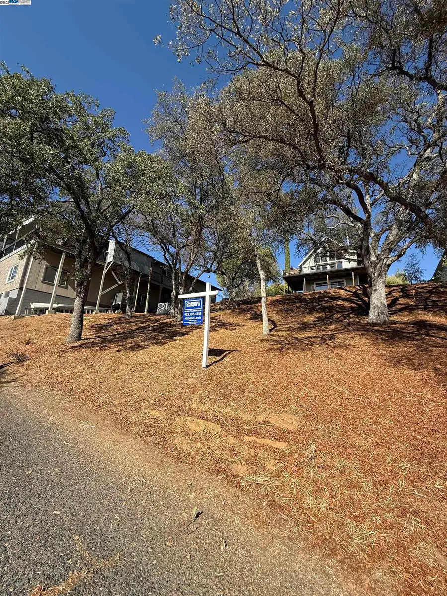 490 Bret Harte Dr, Copperopolis, CA 95228 - #3