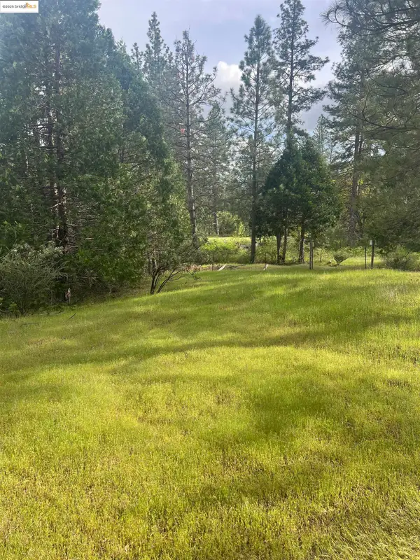 00 Italian Bar Rd, Twain Harte, CA 95383