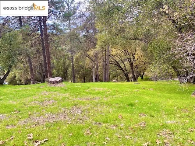 19703 Cottonwood St, Groveland, CA 95321 - #1