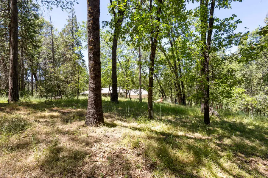 17787 Lucky Strike Trail, Sonora, CA 95370 - #3