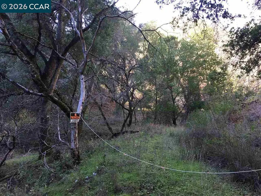 Lark Ln, Alamo, CA 94507 - #1