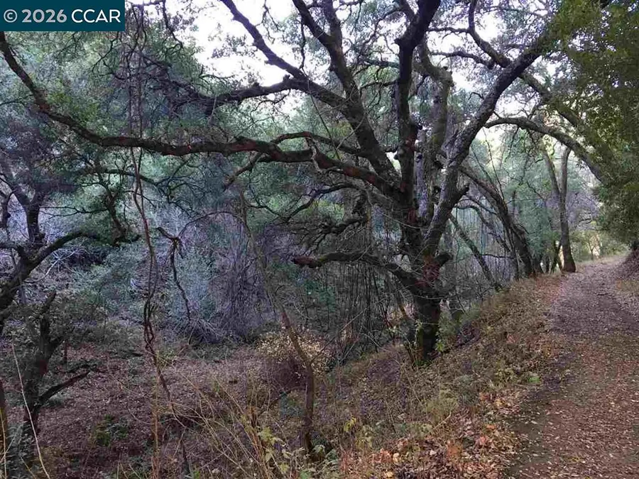 Lark Ln, Alamo, CA 94507 - #2