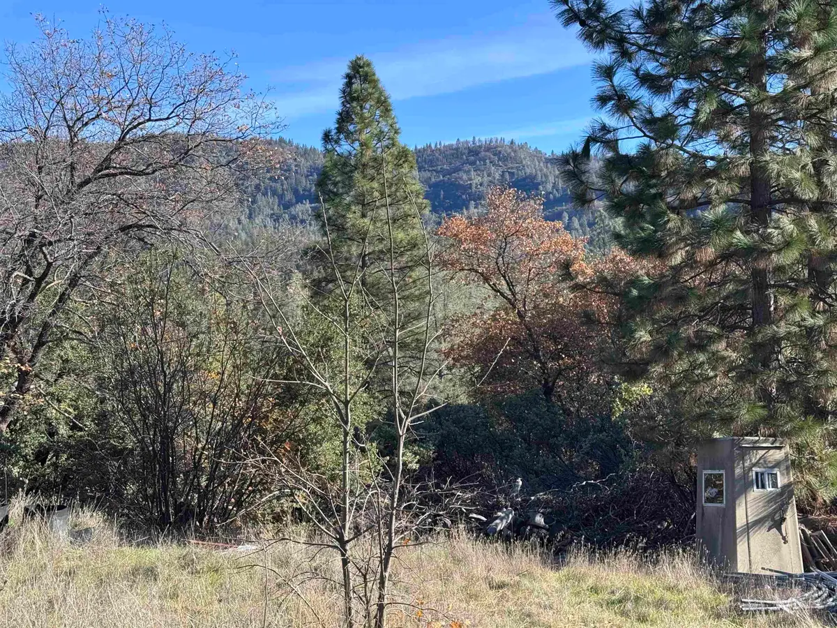 28560 Italian Bar Rd, Twain Harte, CA 95383 - #1