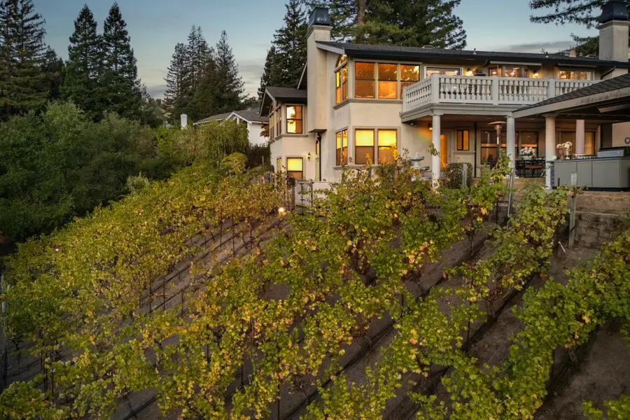 13 Kemp Ct, Alamo, CA 94507 - #2