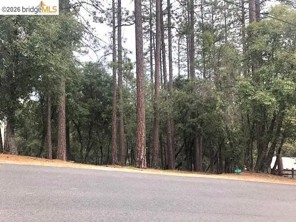 12301 Tower Peak Ct, Groveland, CA 95321