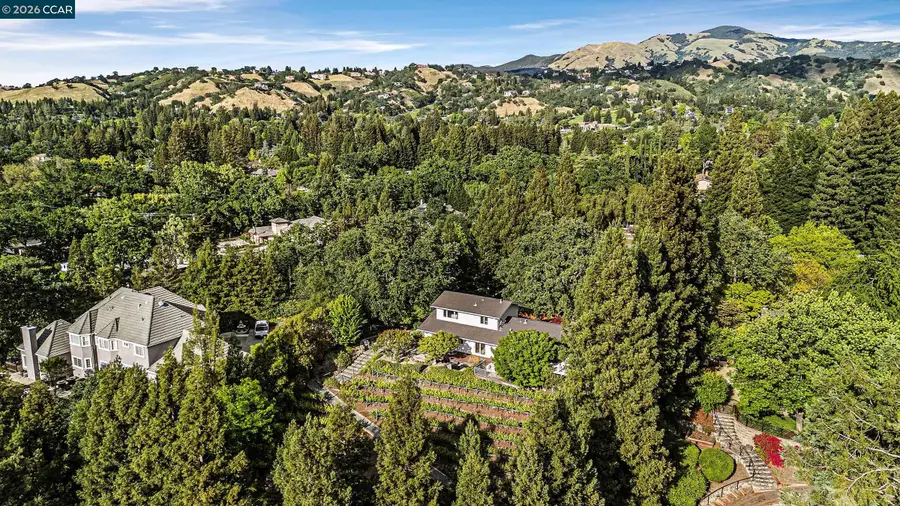 225 Pebble Ct, Alamo, CA 94507 - #3