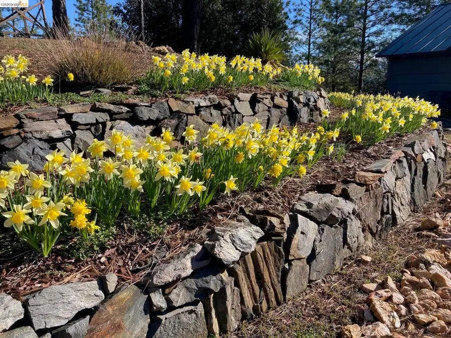 9587 Bondurant Mine Rd., Coulterville, CA 95311 - #3