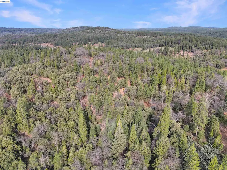4700 Kelley Pl, Garden Valley, CA 95633 - #2