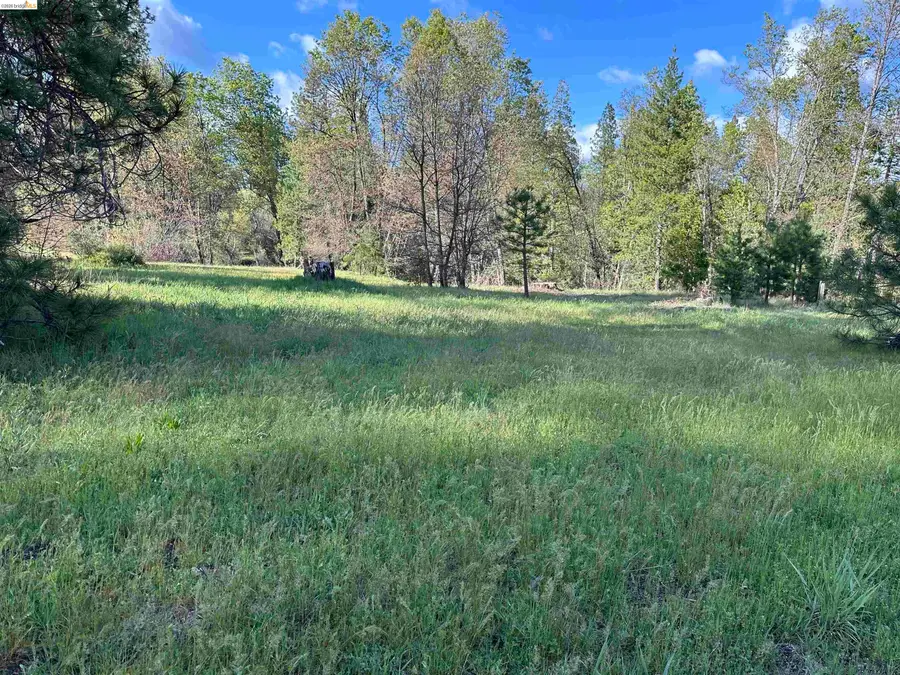 6354 Lone Oak Dr, Coulterville, CA 95311 - #2