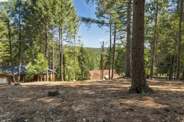 5651 Daisy Cir, Pollock Pines, CA 95726