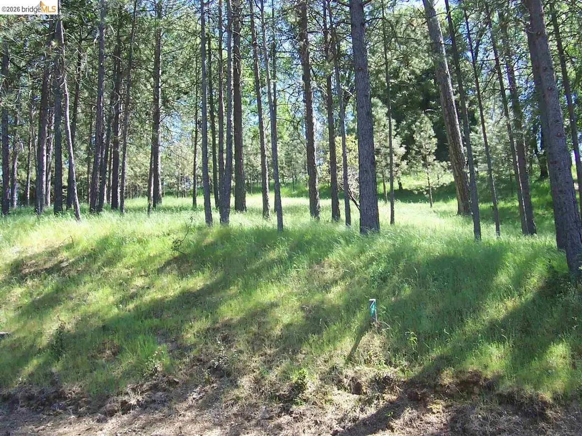 19605 Cottonwood St., Groveland, CA 95321 - #1