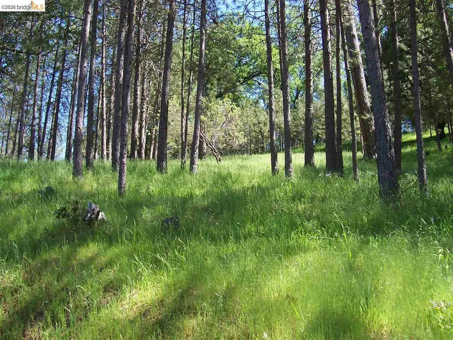 19605 Cottonwood St., Groveland, CA 95321 - #2