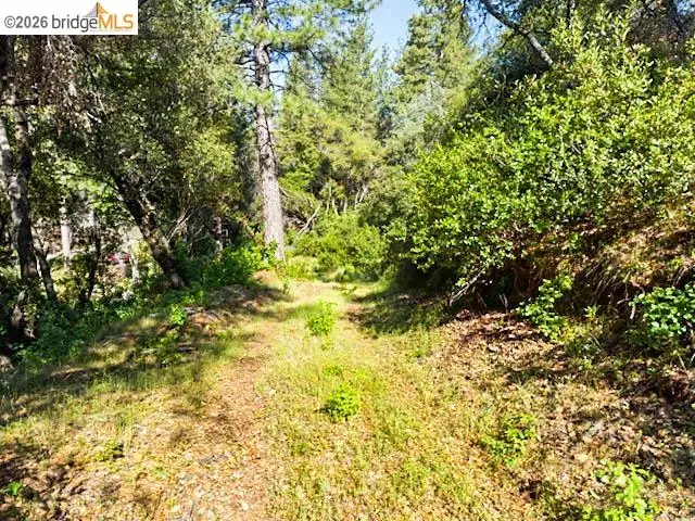 18516 Mastadon Mine Rd, Tuolumne, CA 95379 - #2