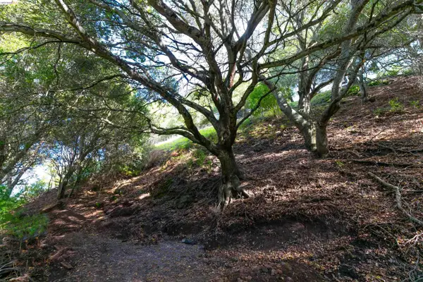 20 Lucille Way, Orinda, CA 94563