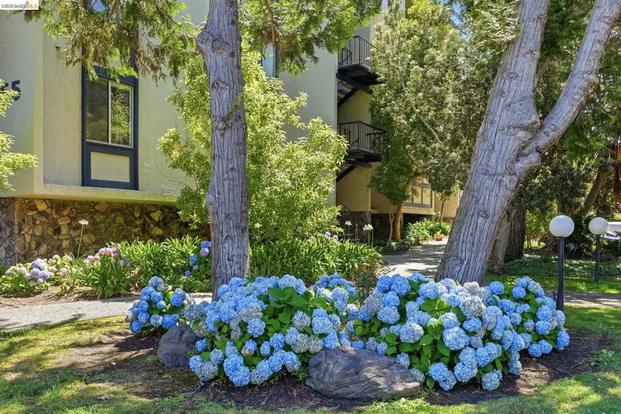 955 Shorepoint Ct #208, Alameda, CA 94501 - #3