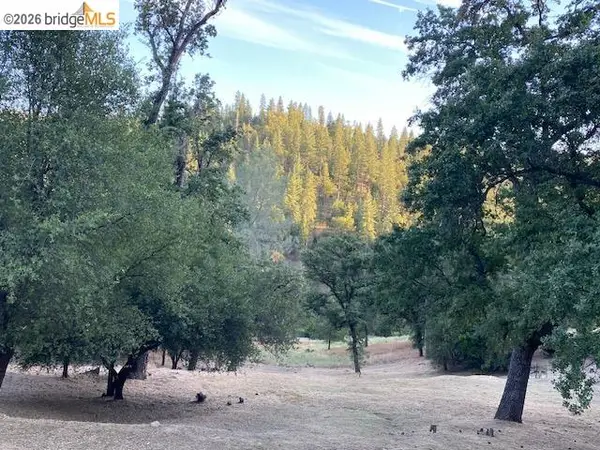 4-152 Nonpareil, Groveland, CA 95321