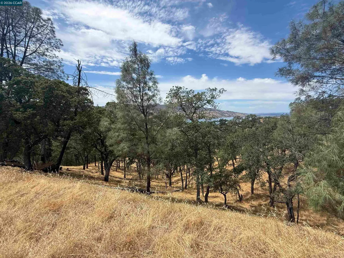 1123 Steele Canyon Rd., Napa, CA 94558 - #1