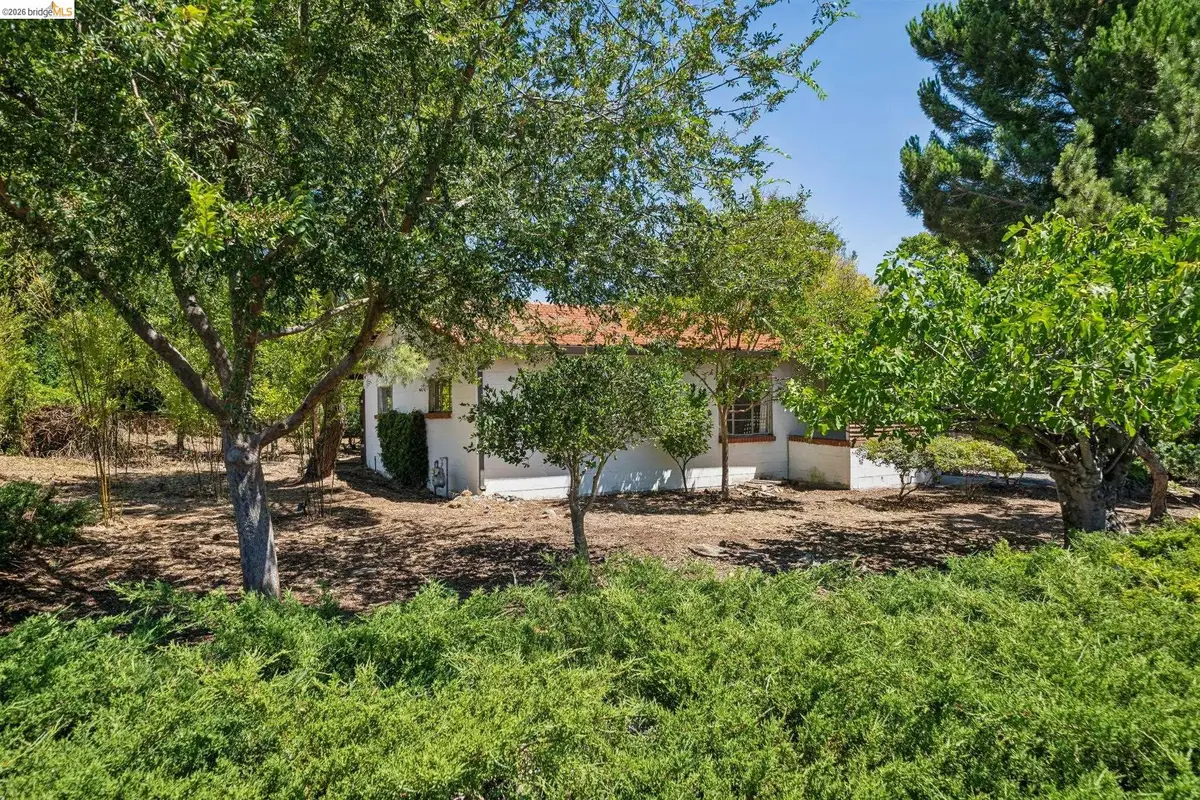 1810 3rd Ave, Walnut Creek, CA 94597 - #1