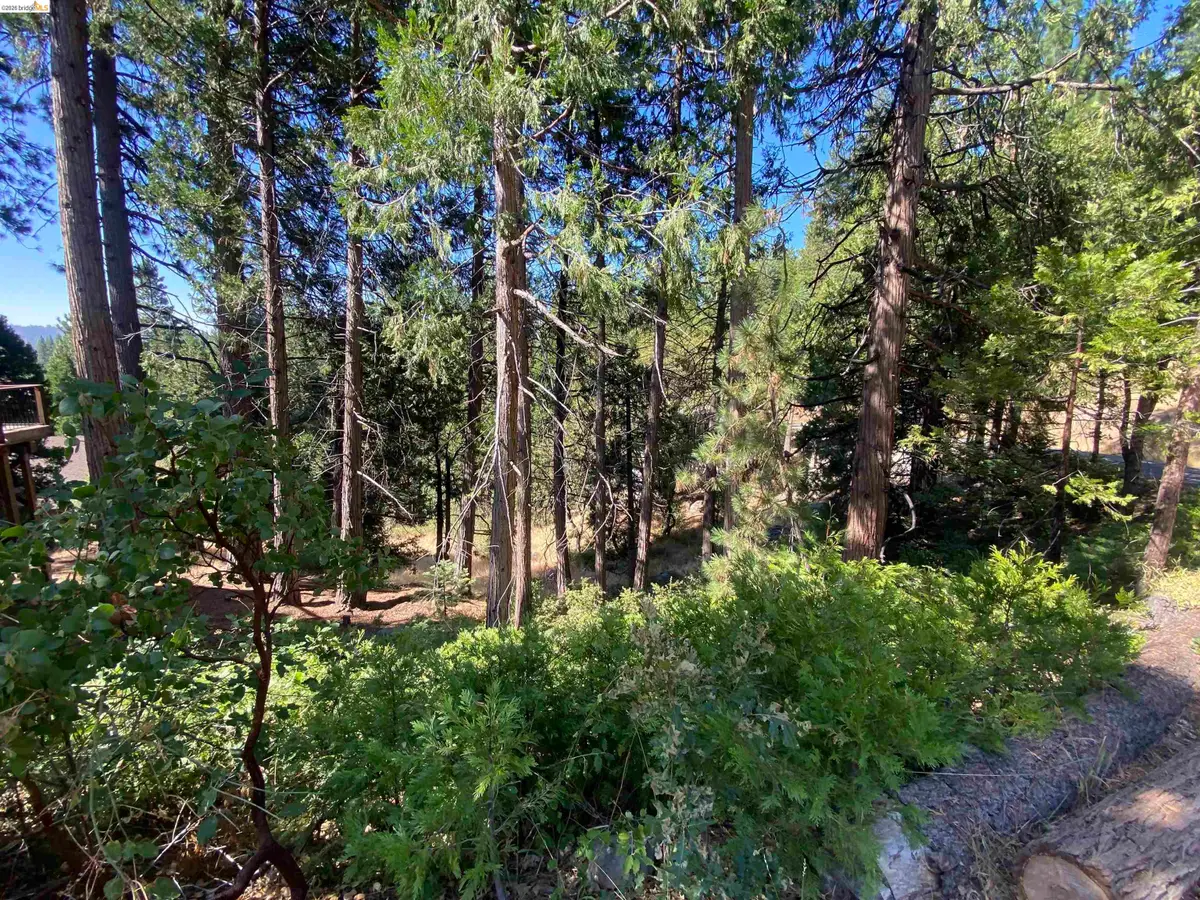 280 No Address - Vacant Lot, Cold Springs, CA 95335 - #1