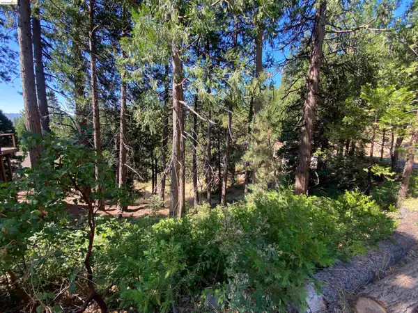 280 No Address - Vacant Lot, Cold Springs, CA 95335