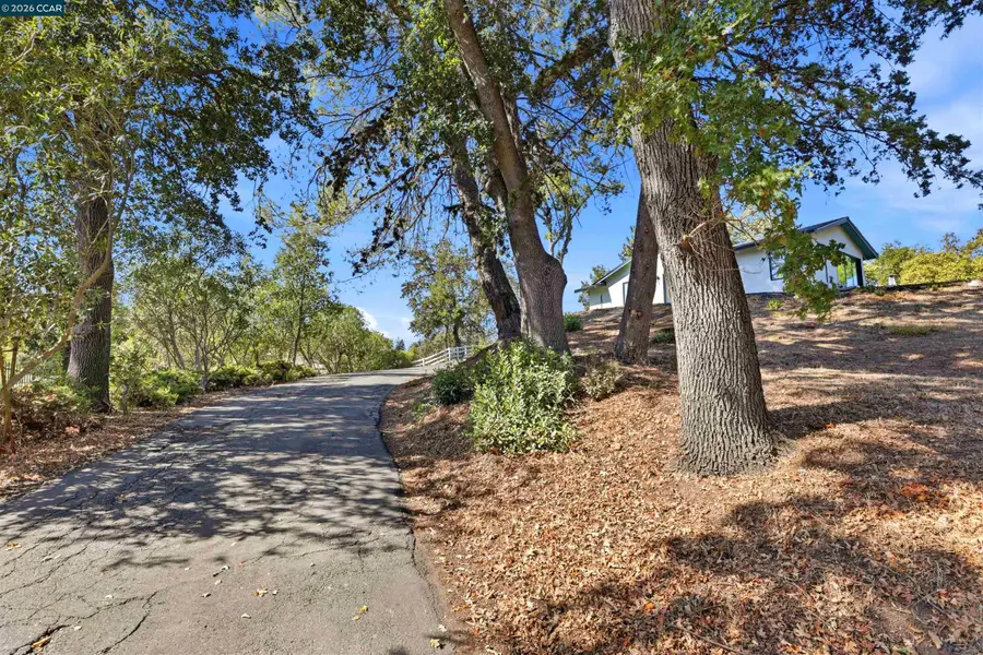 1 Ohlson Ln, Danville, CA 94526 - #2