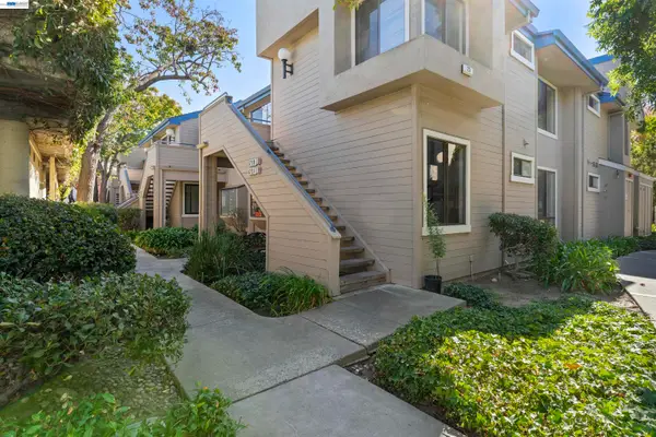 6212 Buena Vista Dr #A, Newark, CA 94560