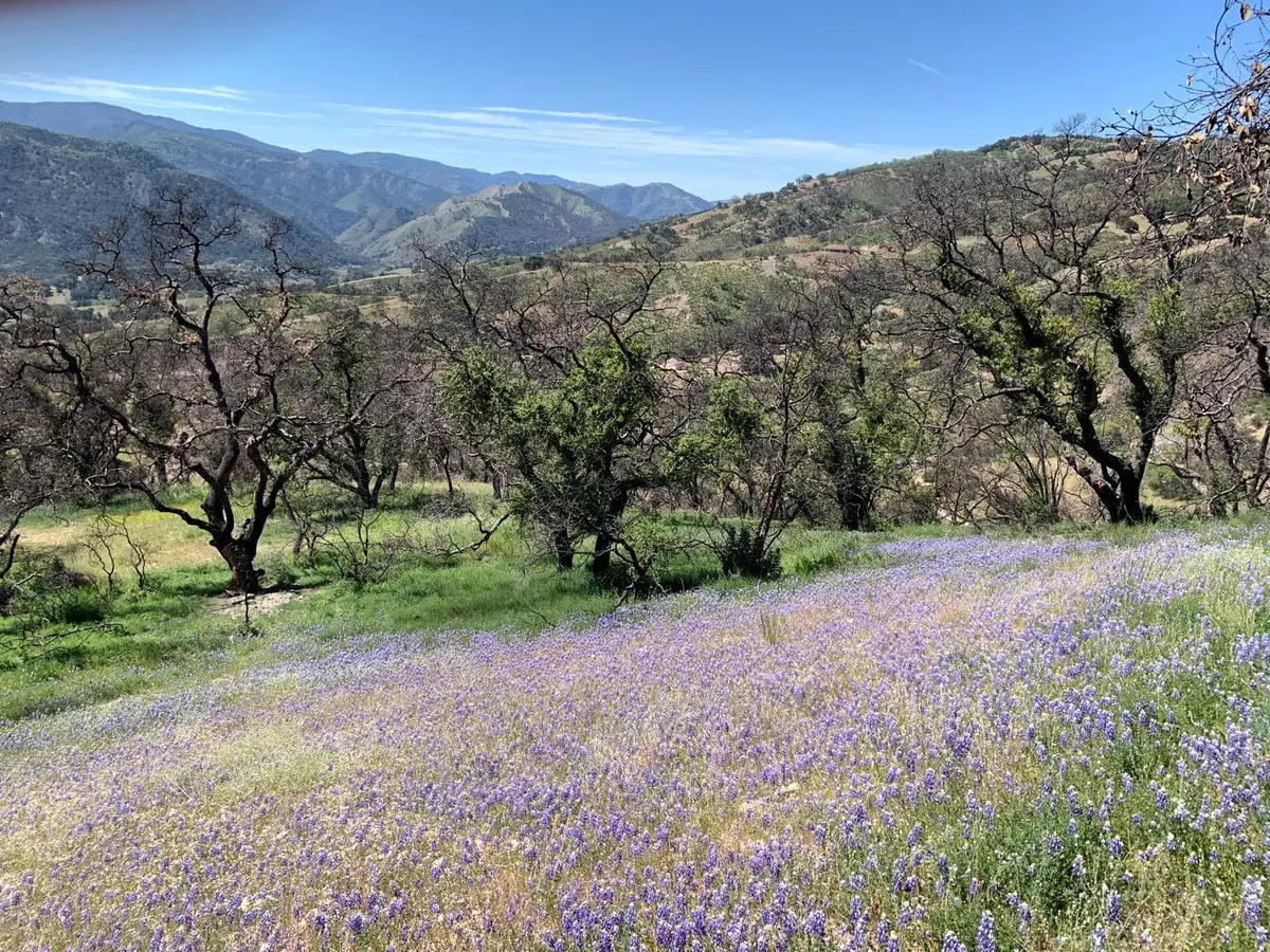 0 Cachagua, Carmel Valley, CA 93924 - #1