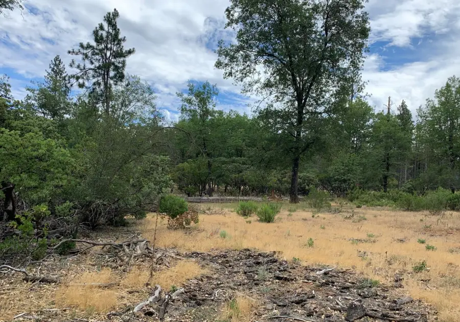 8655 Harrington Flat Road, Hidden Valley Lake, CA 95461 - #3