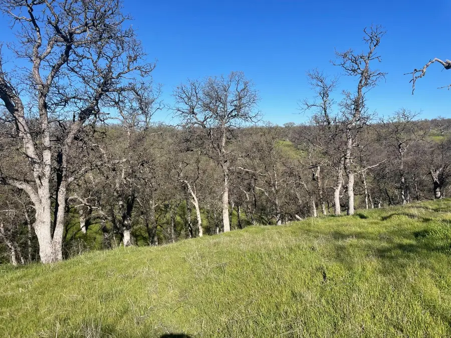 108 Lot 8 Of Tract No.91 1002 Lane, Red Bluff, CA 96080 - #2