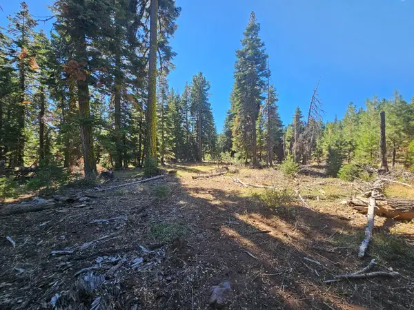 0 Prospect Road, Alturas, CA 96101