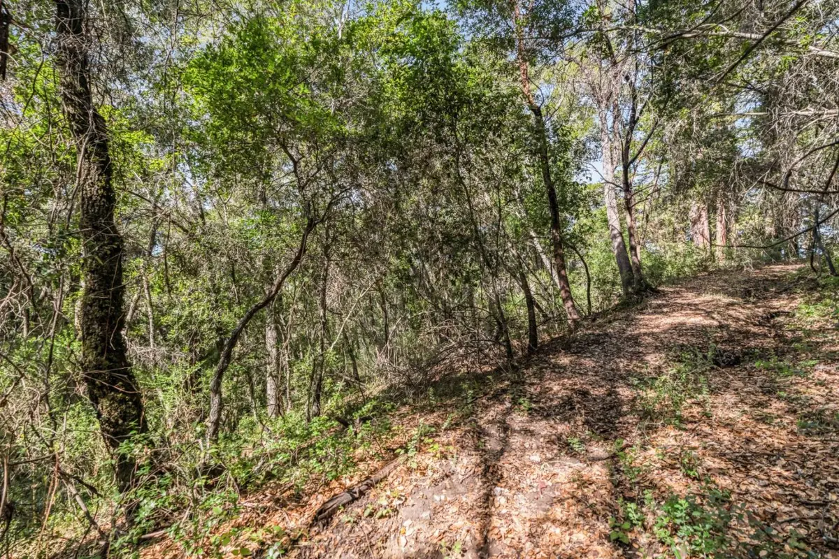 Lot 08 Madrone Avenue, Felton, CA 95018 - #1