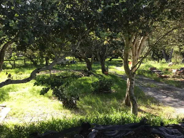6967 Valle Pacifico Road, Salinas, CA 93907