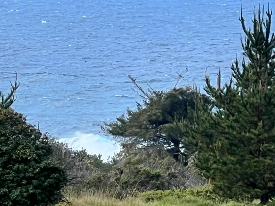 375 Spur Close, Sea Ranch, CA 95497 - #2