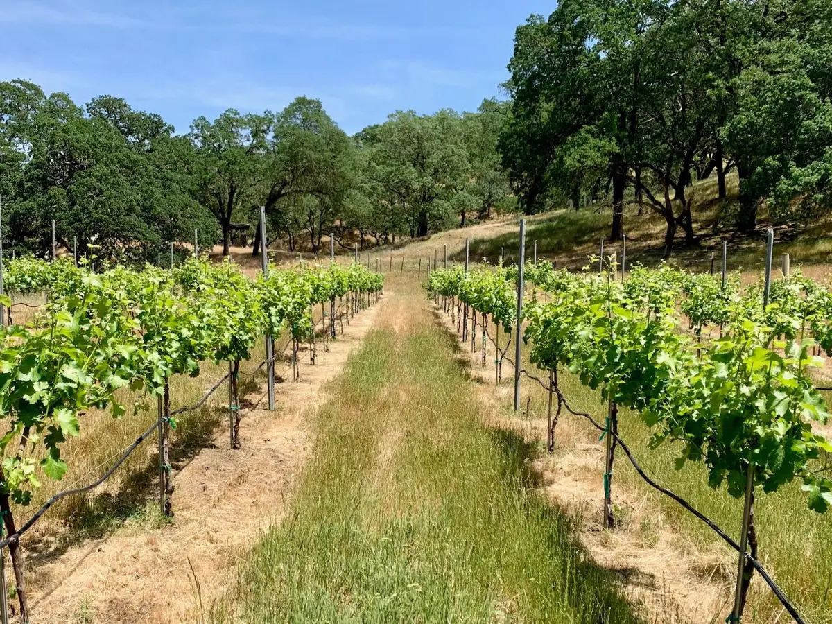 0 Hayes Lane, San Martin, CA 95046 - #1