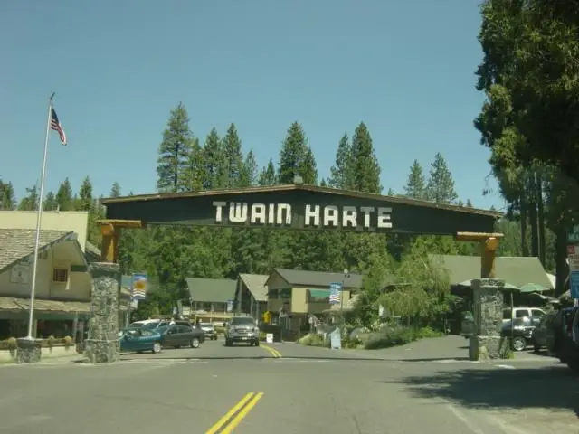 18861 Lookout Drive, Twain Harte, CA 95383 - #2