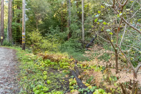 4 Old Mill Avenue, Felton, CA 95018