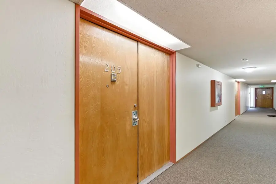 728 Elm Street #205, San Carlos, CA 94070 - #3