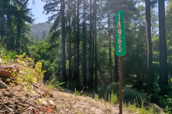 14965 Virginia Avenue, Boulder Creek, CA 95006