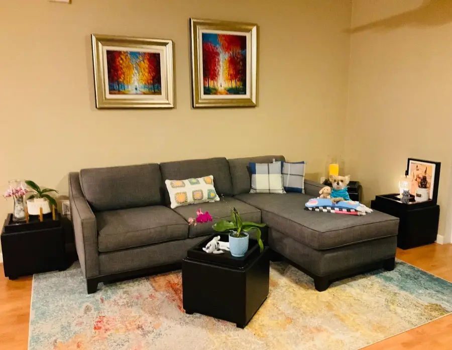 1310 Saddle Rack Street #347, San Jose, CA 95126 - #2