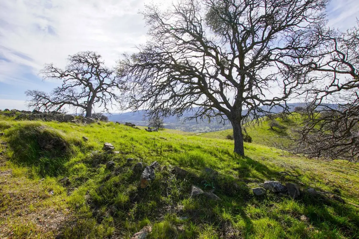 20041 Panoche Road, Paicines, CA 95043 - #1